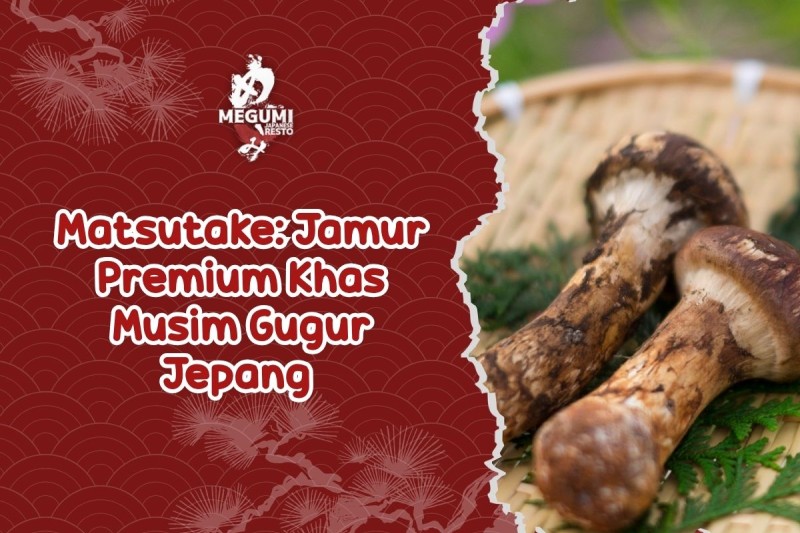 Matsutake, Jamur Premium Khas Musim Gugur Jepang