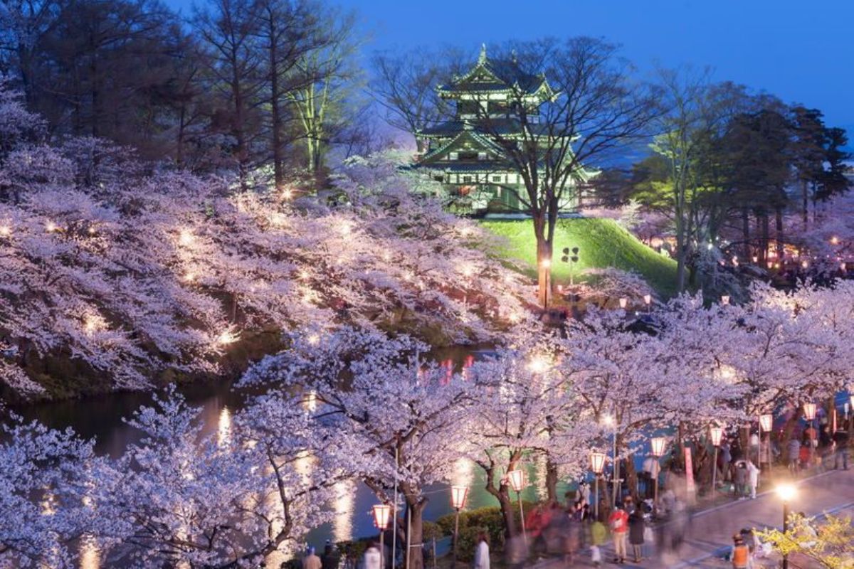 Apa Itu Hanami? Tradisi Piknik Sambil Menikmati Makanan Musim Semi Jepang