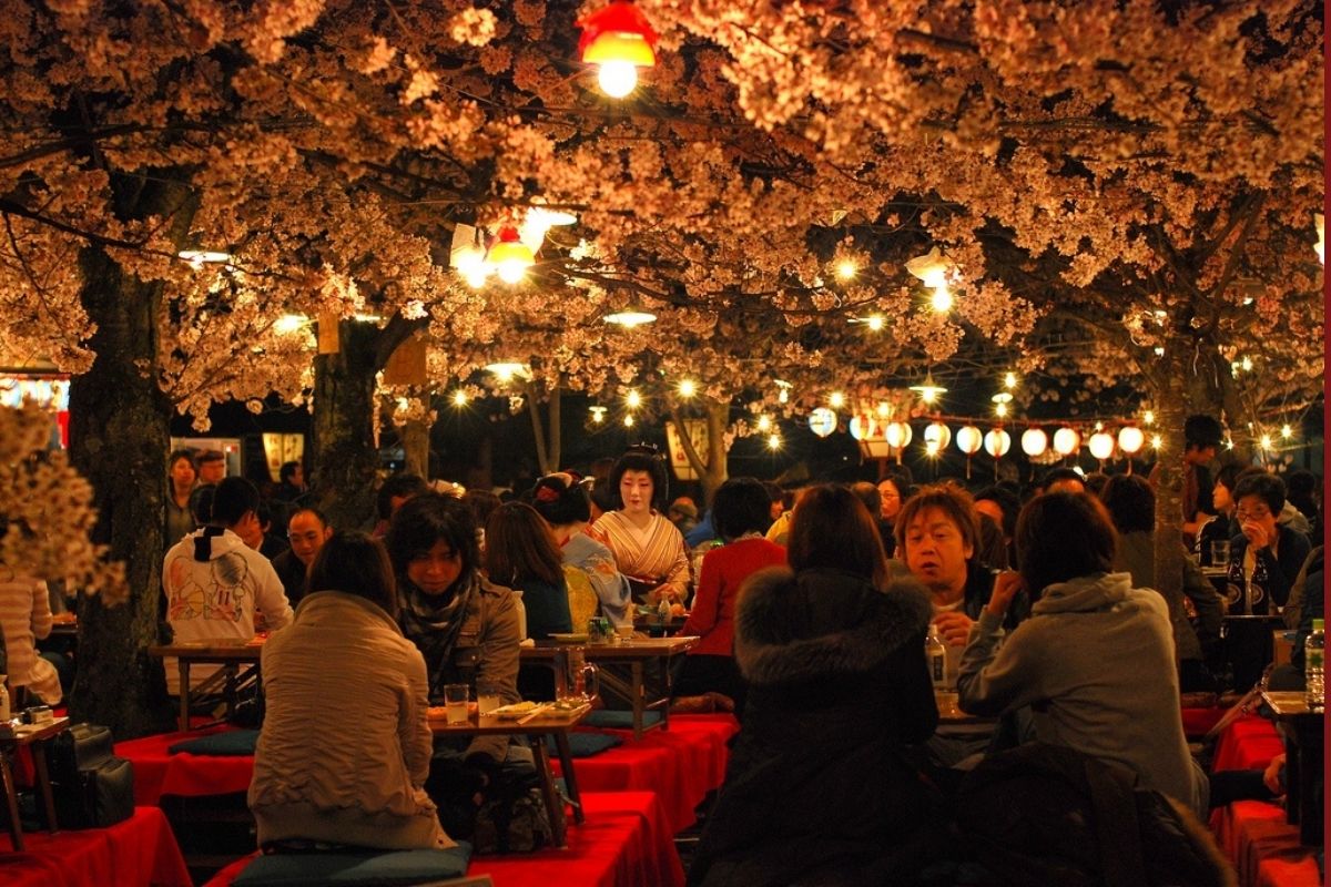 Apa Itu Hanami? Tradisi Piknik Sambil Menikmati Makanan Musim Semi Jepang