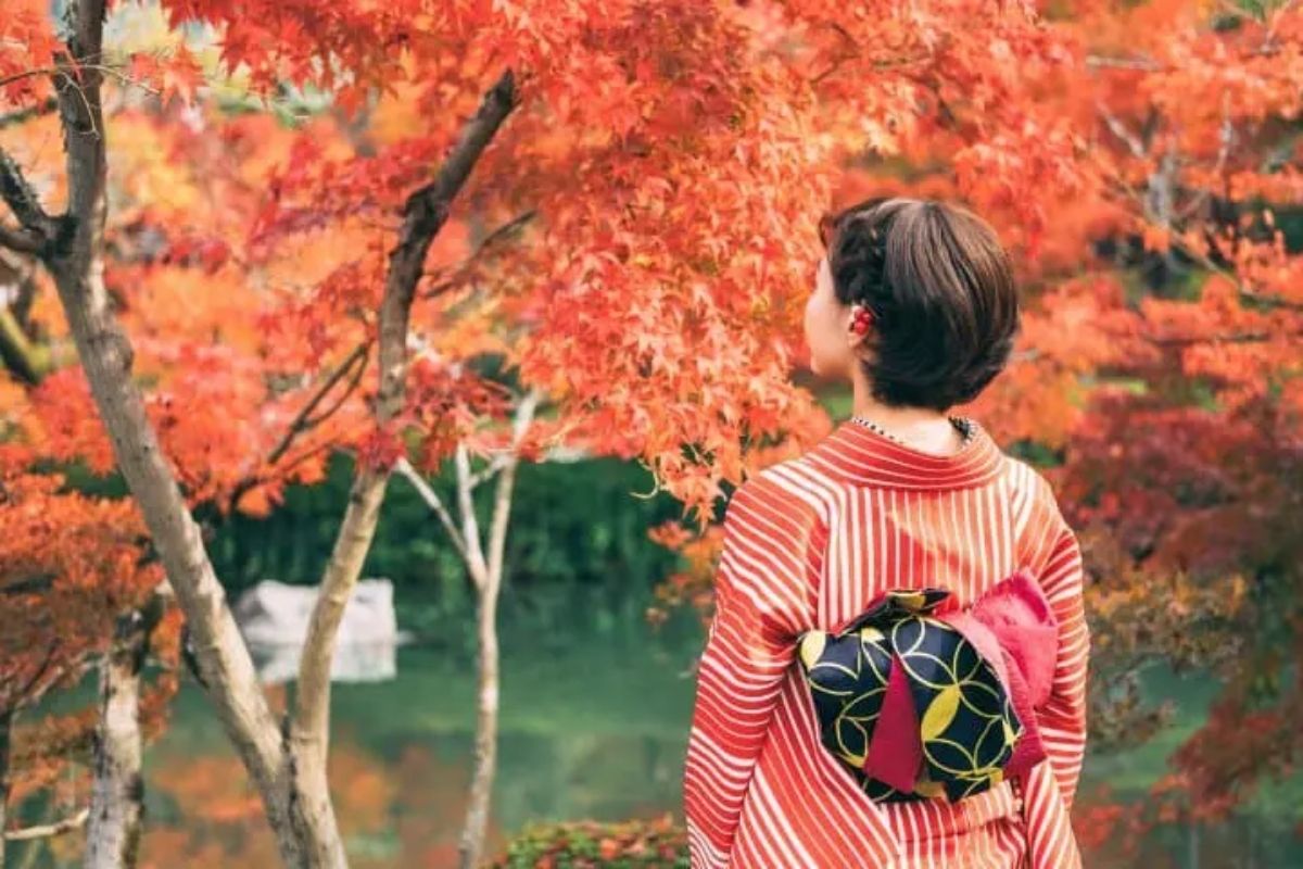 Bagaimana Orang Jepang Menikmati Momijigari?